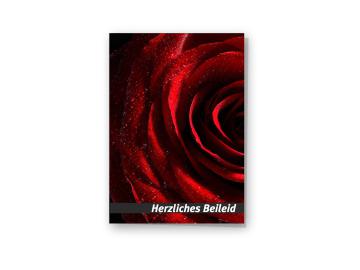 Beileidskarte "rote Rosenblüte"
