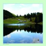 Steiermark - mattgrün