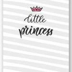 Wandbild "little princess" grau