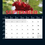 Westerwald 2023 - Terminkalender