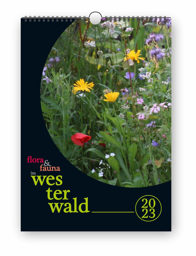 flora & fauna im westerwald 2023