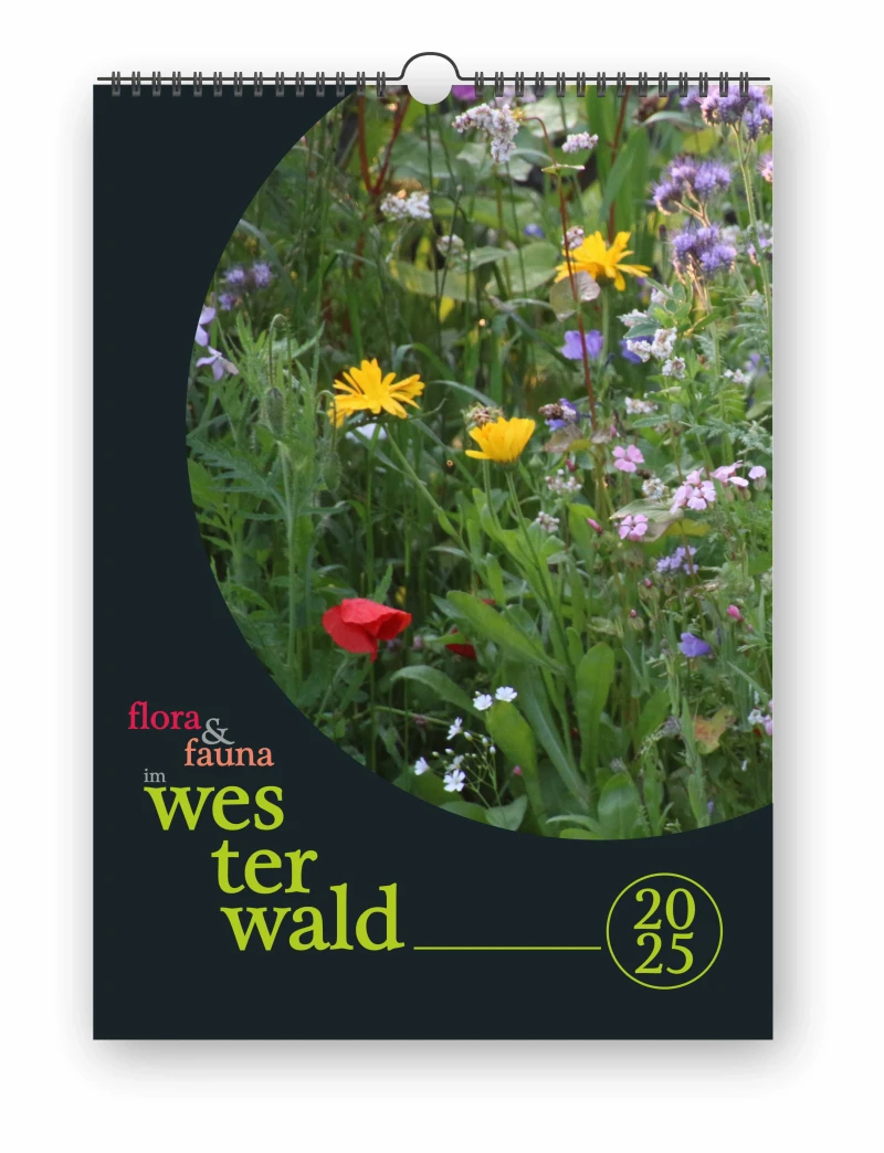 flora & fauna im westerwald 2025